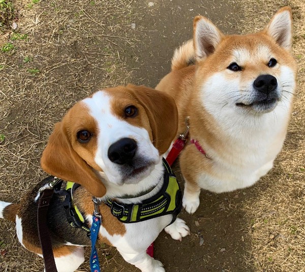 リモサボン RIMO SAVON販売サイトへ