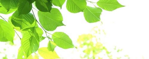 リモサボン RIMO SAVON販売サイトへ